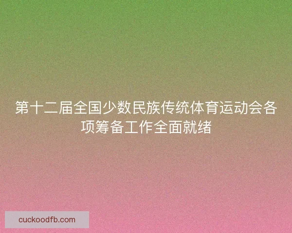 第十二届全国少数民族传统体育运动会各项筹备工作全面就绪